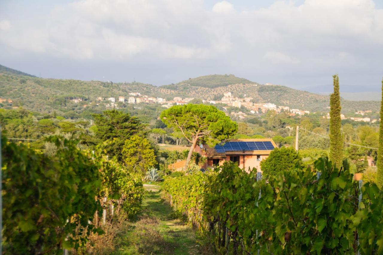 Agriturismo Colle Vento Suvereto Exteriör bild